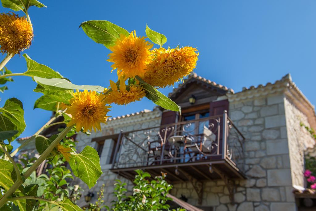 Ktima Kourou Guest House พลานอส ห้อง รูปภาพ